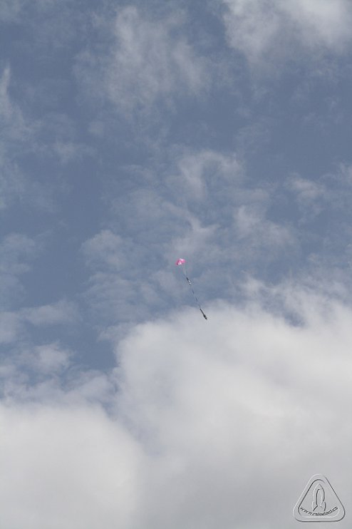 2013 Svojek Mirek Topinka